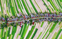 Ba Lan: 6.000 cư dân của một ngôi làng cùng sống trên con phố duy nhất