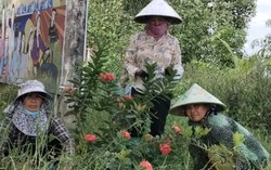 Giúp hội viên của từng chi, tổ hội phụ nữ vùng biên giới Long An xoá đói nghèo 