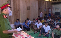 Cuộc chiến chống tái trồng cây thuốc phiện ở vùng cao Thanh Hóa