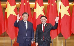 Chủ tịch Quốc hội Vương Đình Huệ hội kiến Tổng Bí thư, Chủ tịch nước Trung Quốc Tập Cận Bình