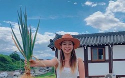 Loại rau chợ Việt bán vài ngàn cả nắm nhưng là "khắc tinh" của ung thư miệng, dạ dày và thực quản