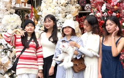 Không khí Noel rộn ràng đến sớm ở phố Hàng Mã