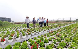 TPHCM: Tiếp tục phát huy và tạo đột phá mới trong triển khai tín dụng chính sách xã hội