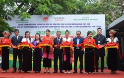 Yên Bái giới thiệu gần 100 mặt hàng nông, thủy sản với người tiêu dùng Hà Nội