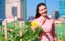 Vườn hoa hướng dương bên sông Sài Gòn sẵn sàng khoe sắc dịp Giáng sinh  