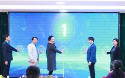 Khai mạc Giải chạy bộ "Vì sức khỏe Việt Nam" lần thứ 2