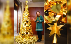 Những cây thông Noel “có một không hai”
