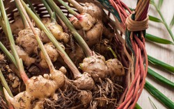 Những lưu ý khi tắm nước gừng vào mùa đông tránh ảnh hưởng tới sức khỏe