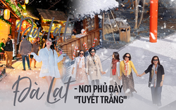 Có một nơi phủ đầy "tuyết trắng" ở Đà Lạt vào mùa Noel