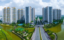 Giá căn hộ chung cư liên tục tăng cao, nhà ở thấp tầng giảm mạnh