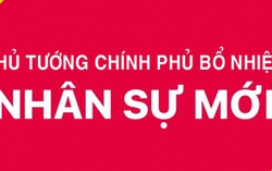 Thủ tướng Chính phủ bổ nhiệm lãnh đạo 3 cơ quan