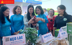 Quảng bá, tôn vinh sản phẩm khởi nghiệp tiêu biểu của phụ nữ miền Bắc