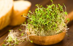 Cỏ linh lăng có tác dụng gì đối với sức khoẻ?