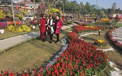 Điểm check-in hút khách dịp Tết Dương lịch tại làng hoa Xuân Quan