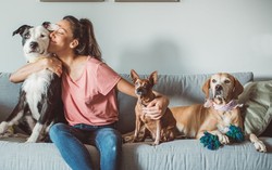 Bác sĩ nói về thói quen ôm hôn chó mèo của người trẻ: Cẩn thận các bệnh ký sinh trùng nguy hiểm!