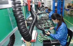 TPHCM: Mức thưởng Tết Âm lịch 2024 cao nhất dự kiến là 2 tỷ đồng