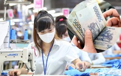 Mức lương cao nhất năm 2023 là 834 triệu đồng/tháng