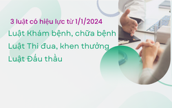 3 luật mới có hiệu lực từ ngày 1/1/2024