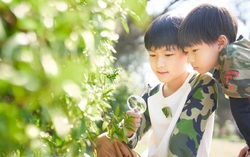 Sinh viên Đại học Tokyo có niềm say mê học tập từ nhỏ nhờ một thói quen của cha mẹ