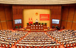 Hơn 1,44 triệu cán bộ, đảng viên nghiên cứu, quán triệt Nghị quyết Hội nghị Trung ương 8