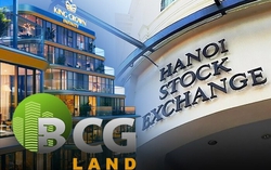 Cổ phiếu công ty con Bamboo Capital tăng gần 700 tỷ đồng vốn hóa trong phiên đầu tiên