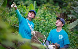 Ngô Trần Hải An cùng nhiếp ảnh lan tỏa lối “sống xanh” 