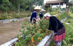 Lai Châu: Mỗi chi hội phụ nữ là một hạt nhân xây dựng nông thôn mới