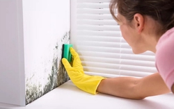 Loại bỏ nấm mốc trên tường dễ dàng với 3 nguyên liệu quen thuộc 