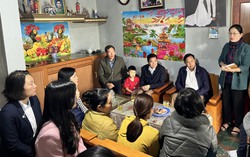 Trung tâm Trung tâm Phụ nữ và Phát triển hỗ trợ nạn nhân bị mua bán trở về tái hòa nhập bền vững