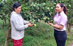 Điểm tựa để chi hội trưởng gắn bó với công tác Hội