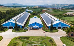 Net Zero: Từ cam kết đến những bước đi tiên phong của doanh nghiệp Việt