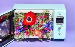 10 tác dụng của lò vi sóng ít người biết
