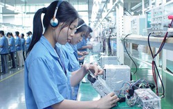 4 nhóm chính sách trong dự thảo Luật Việc làm (sửa đổi) có nhiều tác động tới lao động nữ