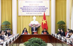 Vi phạm hành chính trong lĩnh vực Kiểm toán Nhà nước có thể bị phạt tới 100 triệu đồng
