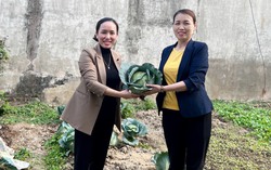 Cán bộ Hội tâm huyết với công tác bảo vệ môi trường