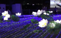Người dân TPHCM ngỡ ngàng với dàn đèn LED 500 nghìn chiếc thắp sáng bến Bạch Đằng