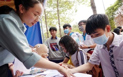 GenZ nên làm gì khi thông tin hướng nghiệp độc hại tràn lan?