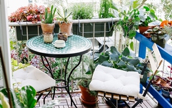 Cách thiết kế ban công nhỏ cho nhà phố ngập cây xanh