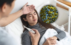 Mức độ nguy hiểm của bệnh Marburg và các triệu chứng dễ bị nhầm lẫn cần đặc biệt lưu ý