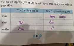 Đồng nghĩa với "mới" là gì? Cô giáo trả lời 2 từ khiến phụ huynh tranh cãi dữ dội