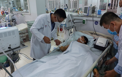Từ vụ ngộ độc món cá chép ủ chua: Vì sao việc cung ứng thuốc hiếm gặp khó?