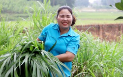 Giúp chị em phụ nữ "giảm nghèo, tăng giàu" 