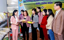 Mô hình kinh tế vùng dân tộc thiểu số tạo việc làm ổn định cho nhiều hội viên, phụ nữ 