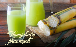 Thức uống được Đông y gọi là "thang thuốc phục mạch", giúp khỏe gan, tốt cho thận, đẹp da