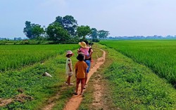 Quyết định bỏ phố về quê, mẹ nhận ra con hạnh phúc là điều quan trọng nhất