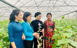 Hỗ trợ vốn vay để “chắp cánh” cho nhiều dự án chất lượng cao