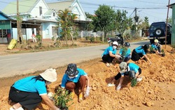 Lâm Đồng: Phụ nữ Lạc Dương ra quân lan tỏa mô hình dân vận khéo, tuyến đường hoa