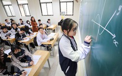 Vì sao nhiều học sinh không thể trở nên giỏi mà chỉ là những "thợ giải toán" 