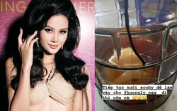 Rộ tin đồn Hương Ly thay Thảo Nhi Lê thi Miss Universe 2023