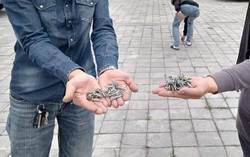 
Phát hiện nhiều đinh khắp bãi đậu xe chùa Tam Trúc, công an vào cuộc điều tra